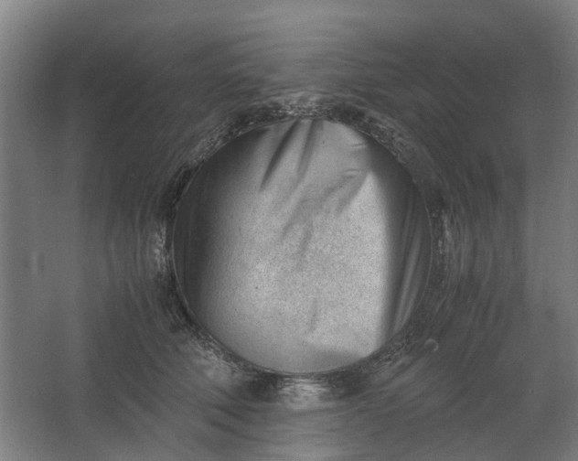 X0000062600610200601040915