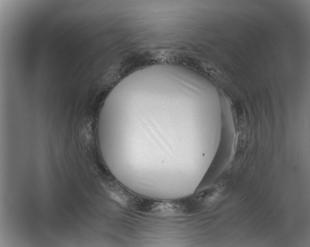 X0000062600611200601040915