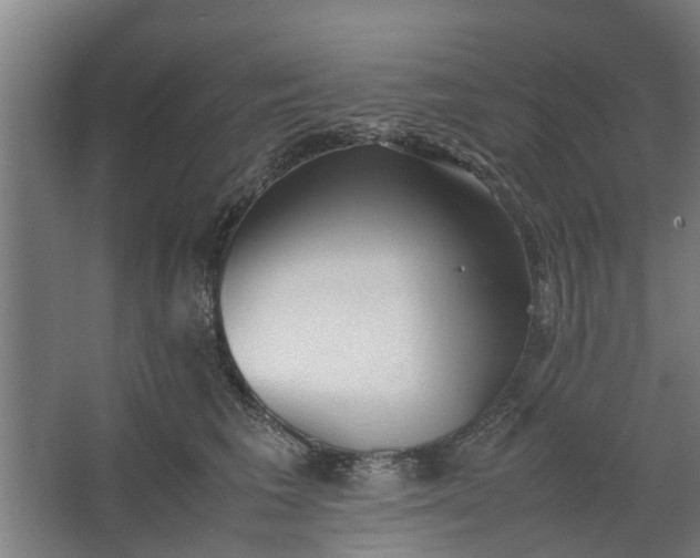 X0000062600613200601040915