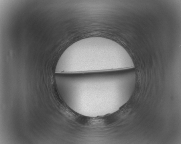 X0000062600617200601040915