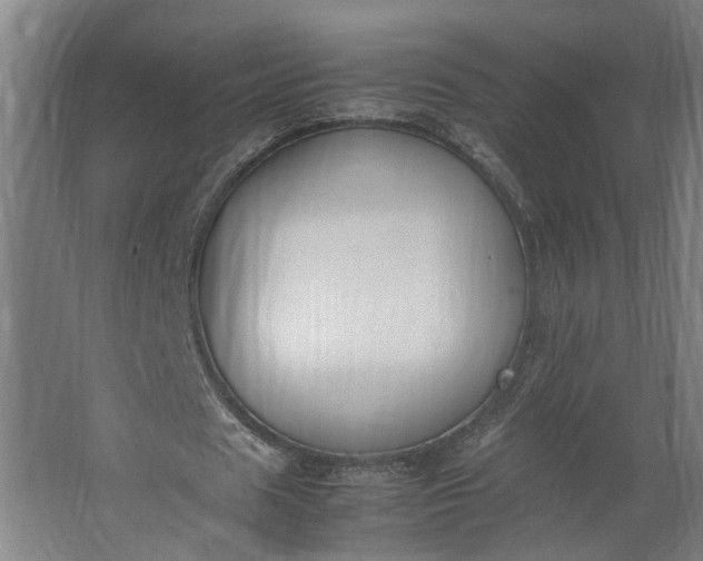 X0000062600625200601040914