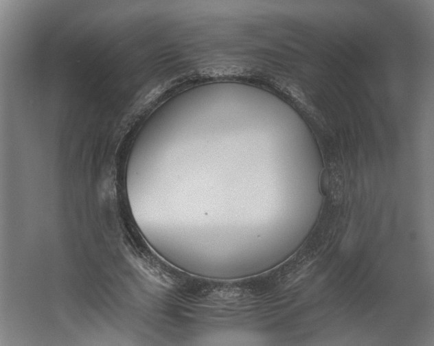X0000062600631200601040914