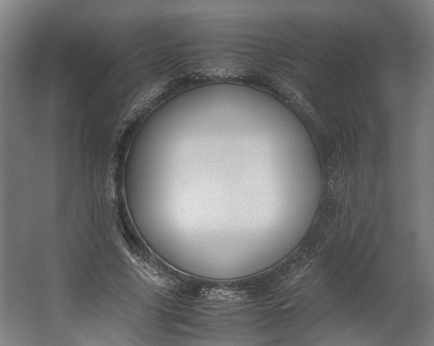 X0000062600635200601040914