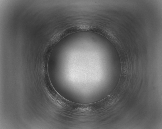 X0000062600639200601040914