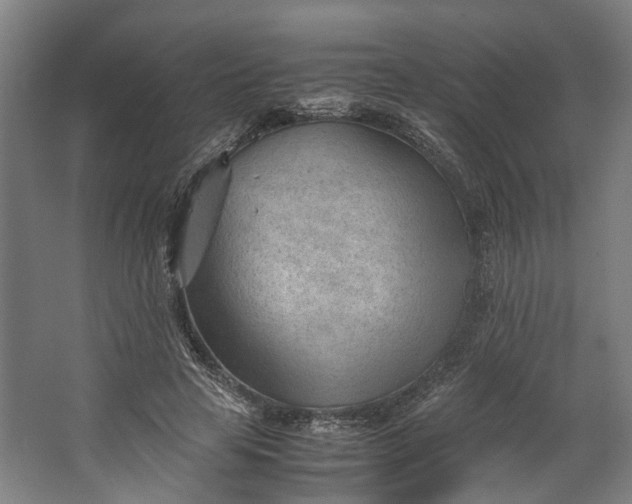 X0000062600641200601040914