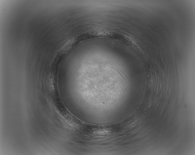 X0000062600643200601040914