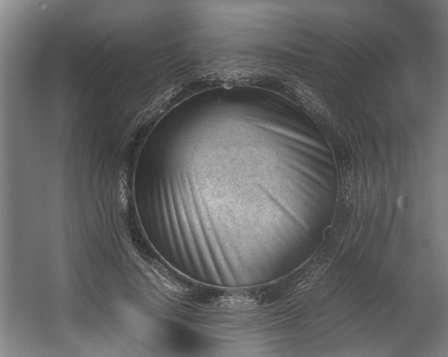 X0000062600644200601040914