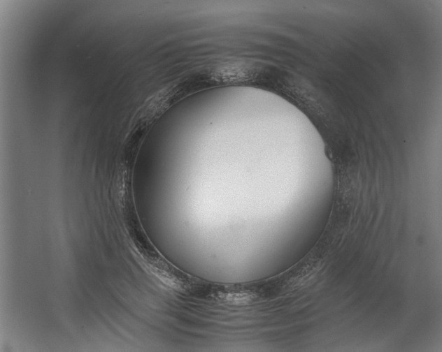 X0000062600645200601040914