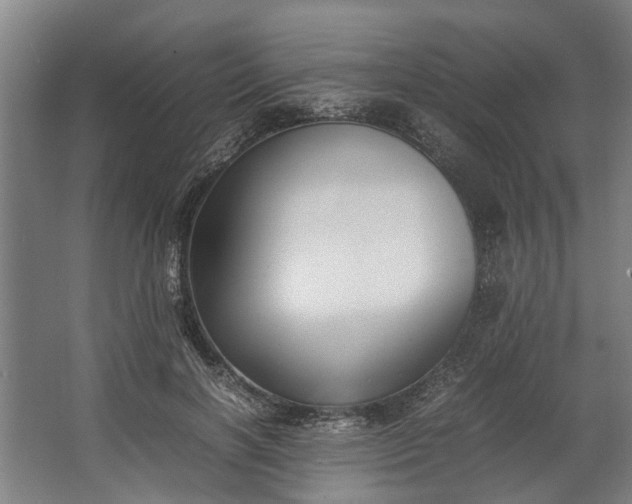 X0000062600646200601040914