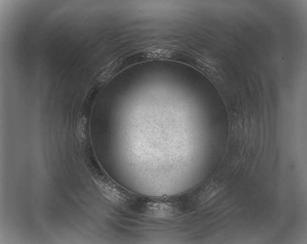 X0000062600649200601040914