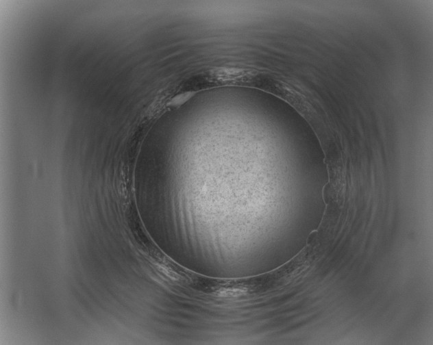 X0000062600653200601040915
