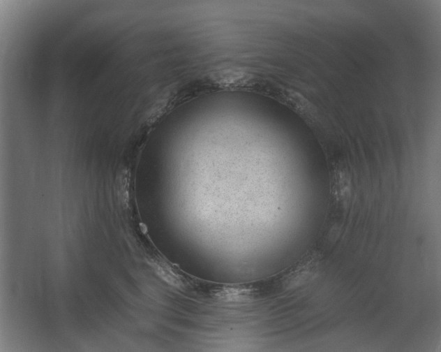 X0000062600664200601040915