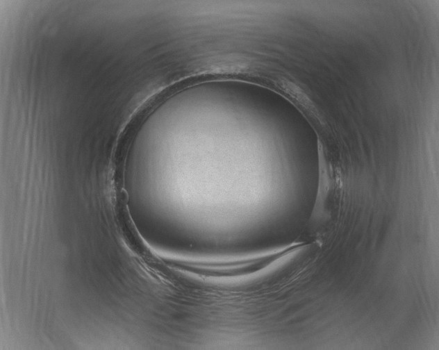 X0000062600676200601040914