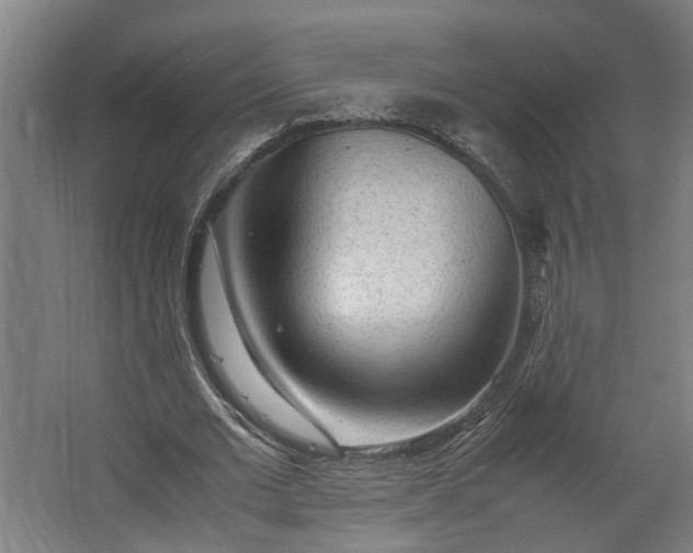 X0000062600677200601040914