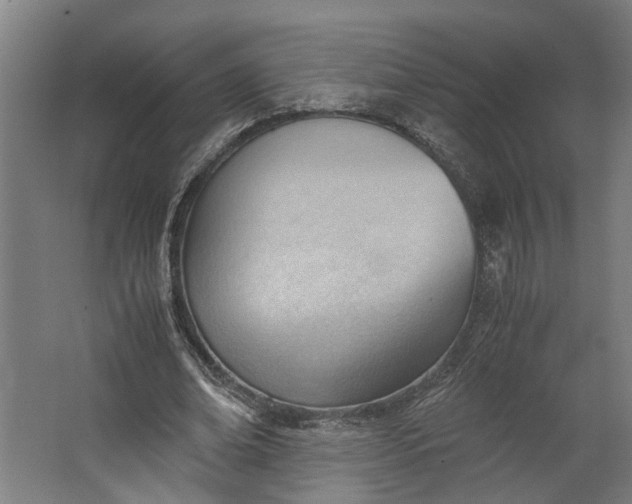 X0000062600678200601040914