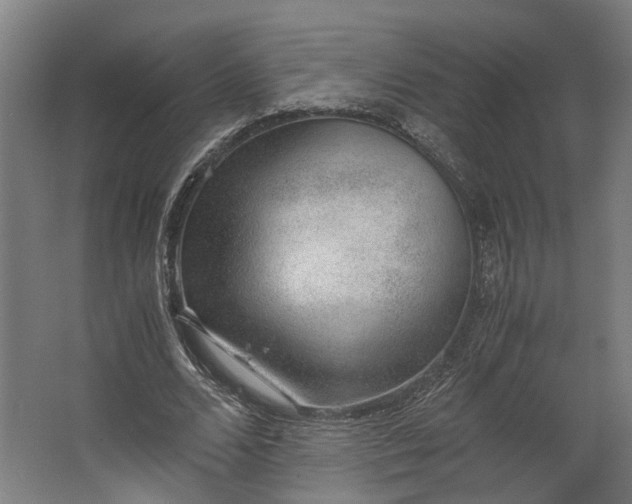 X0000062600680200601040914
