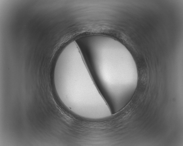 X0000062600685200601040914