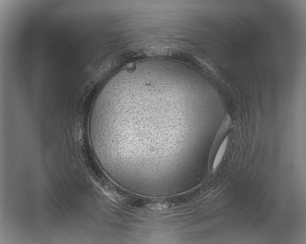 X0000062600687200601040914