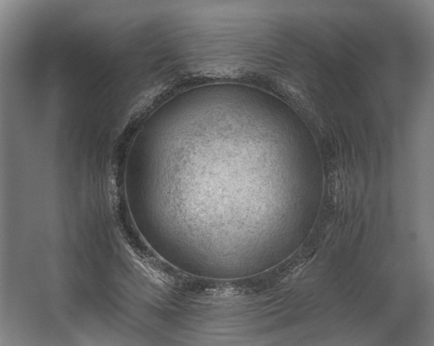 X0000062600688200601040914