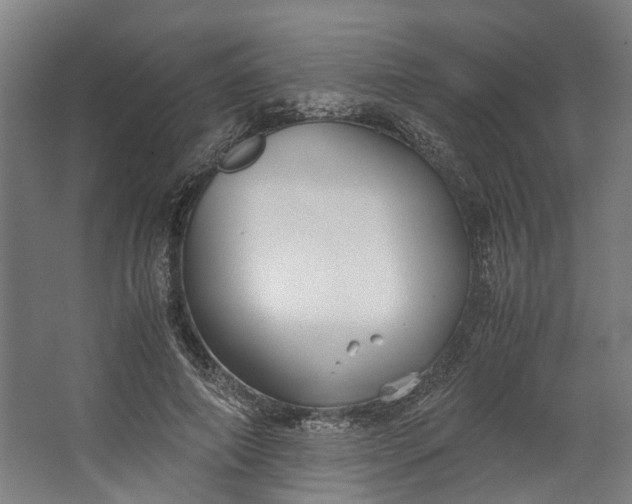 X0000062600690200601040914