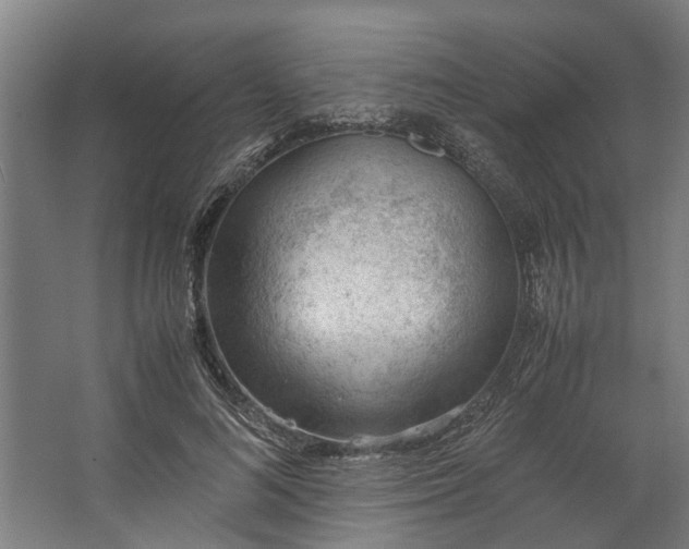 X0000062600692200601040914