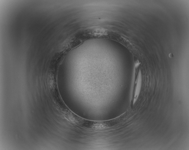 X0000062600704200601040913