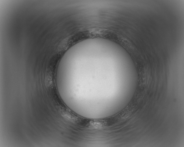 X0000062600706200601040913