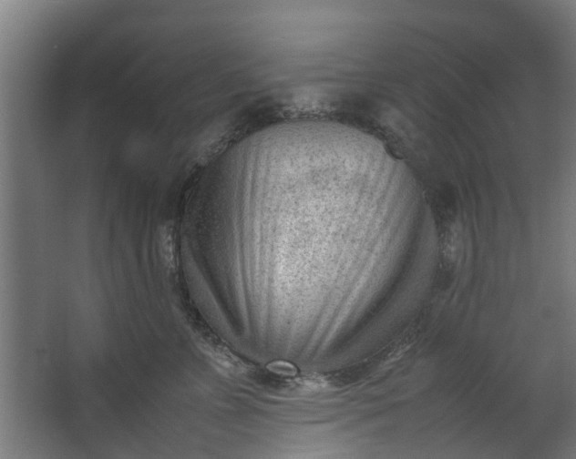X0000062600715200601040913