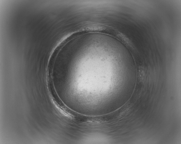 X0000062600726200601040913