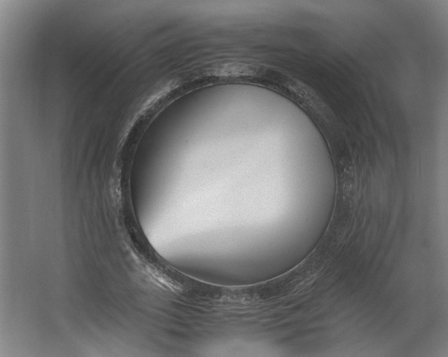 X0000062600727200601040913