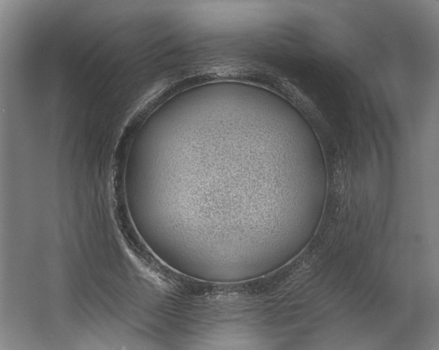 X0000062600730200601040913