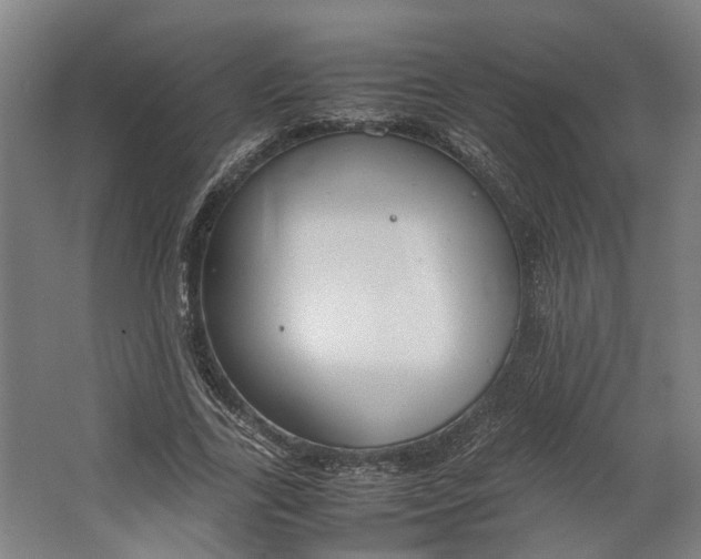 X0000062600731200601040913