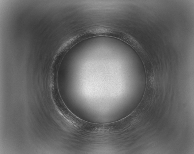 X0000062600732200601040913