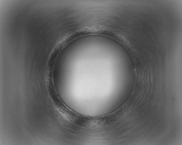 X0000062600736200601040913