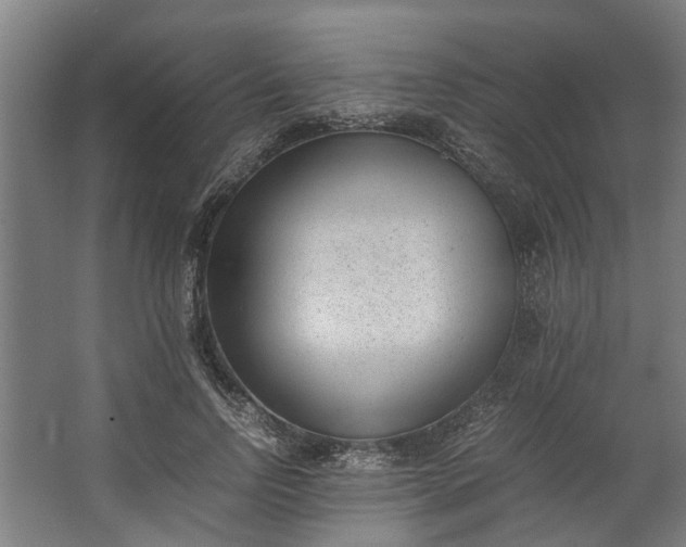X0000062600742200601040913