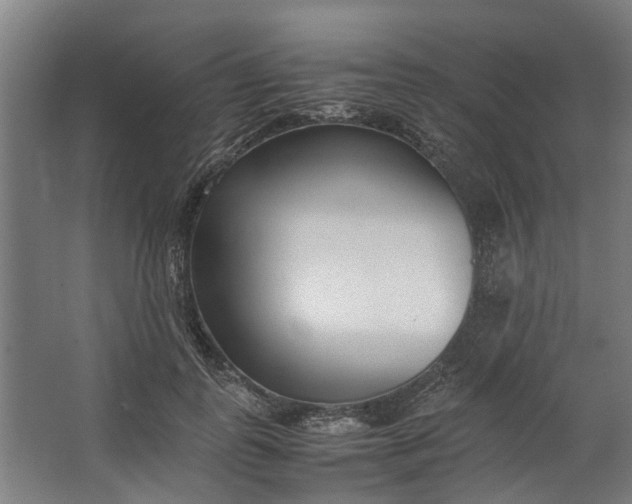 X0000062600747200601040913