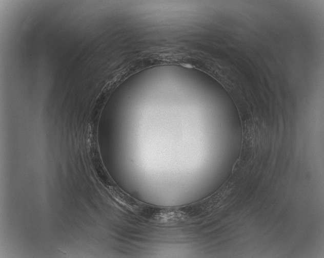 X0000062600752200601040913