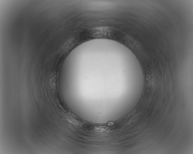 X0000062600753200601040913