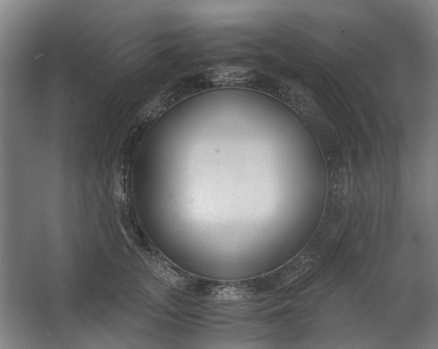 X0000062600755200601040913