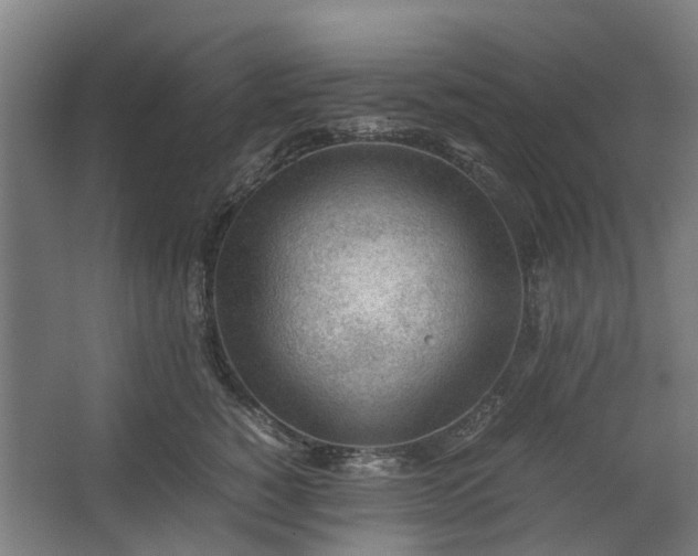 X0000062600760200601040913