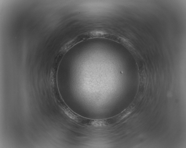 X0000062600762200601040913