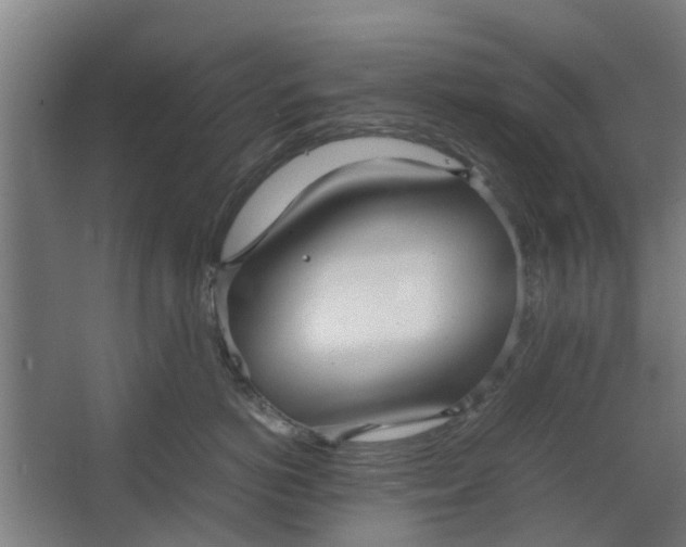 X0000062600766200601040913