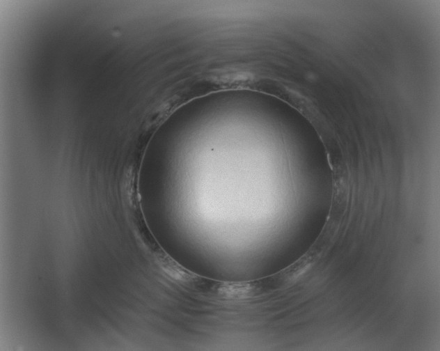X0000062600767200601040913