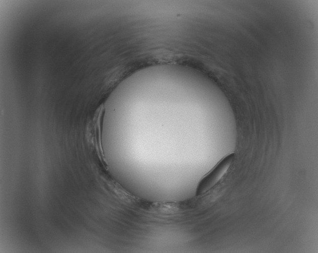 X0000062600768200601040913