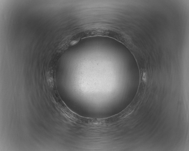 X0000062600771200601040912