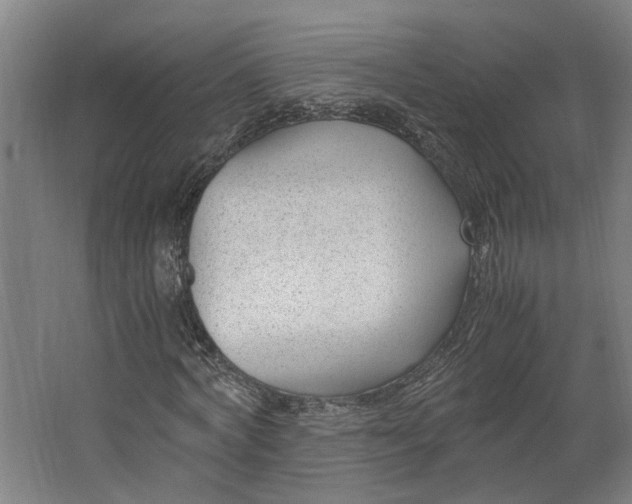 X0000062600772200601040912
