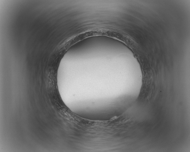 X0000062600773200601040912