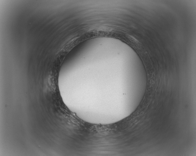 X0000062600774200601040912