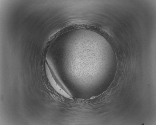 X0000062600775200601040912