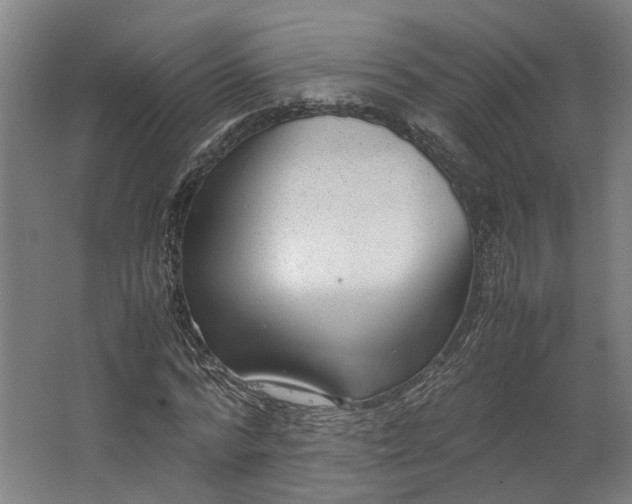 X0000062600776200601040912